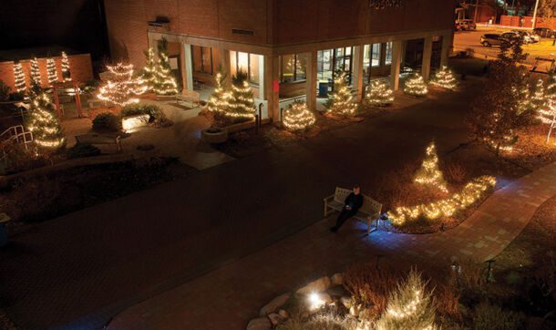 Lit up trees in the Healing Garden at Cooley Dickinson Hospital