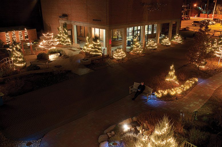 Lit up trees in the Healing Garden at Cooley Dickinson Hospital 